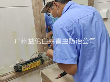 荔湾诱杀箱施药灭杀白蚁工程